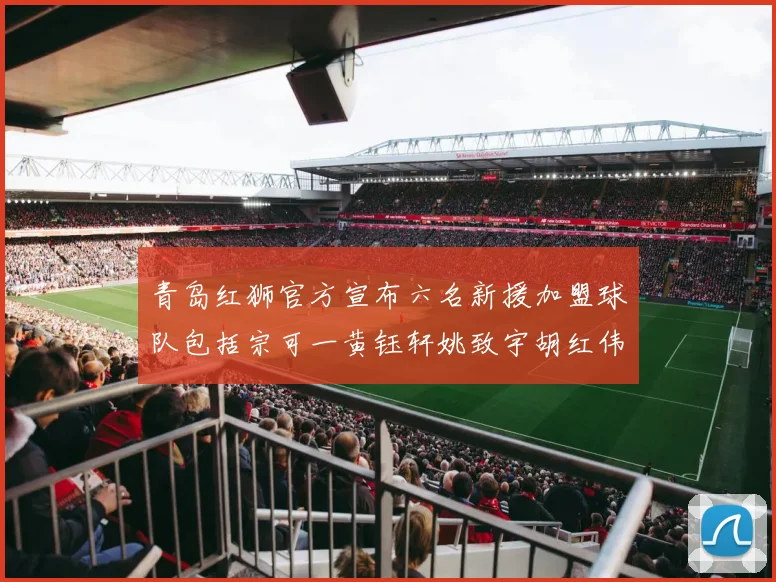 青岛红狮官方宣布六名新援加盟球队包括宗可一黄钰轩姚致宇胡红伟等人