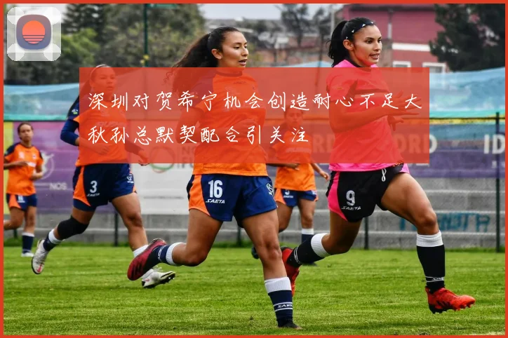 深圳对贺希宁机会创造耐心不足大秋孙总默契配合引关注