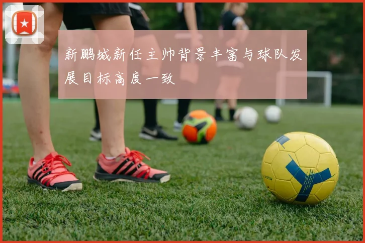 新鹏城新任主帅背景丰富与球队发展目标高度一致