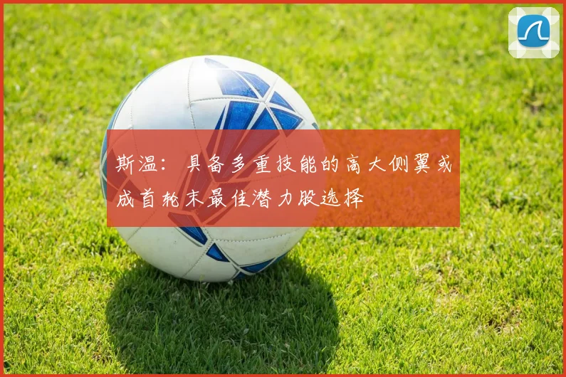 斯温：具备多重技能的高大侧翼或成首轮末最佳潜力股选择