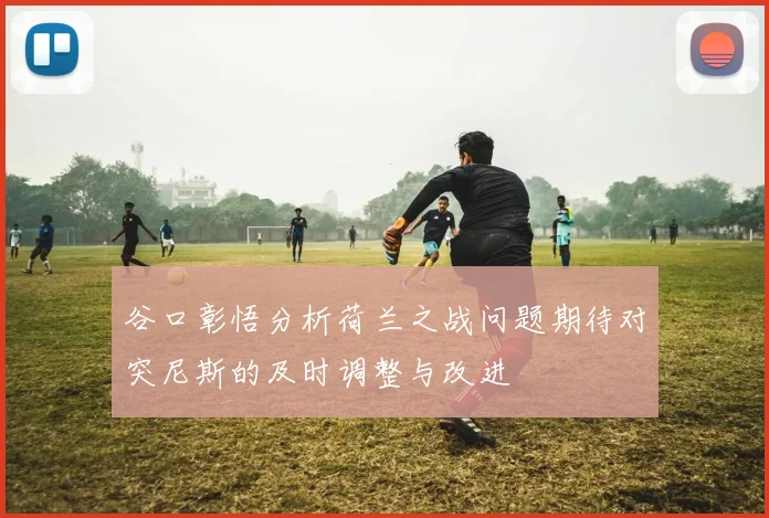 谷口彰悟分析荷兰之战问题期待对突尼斯的及时调整与改进